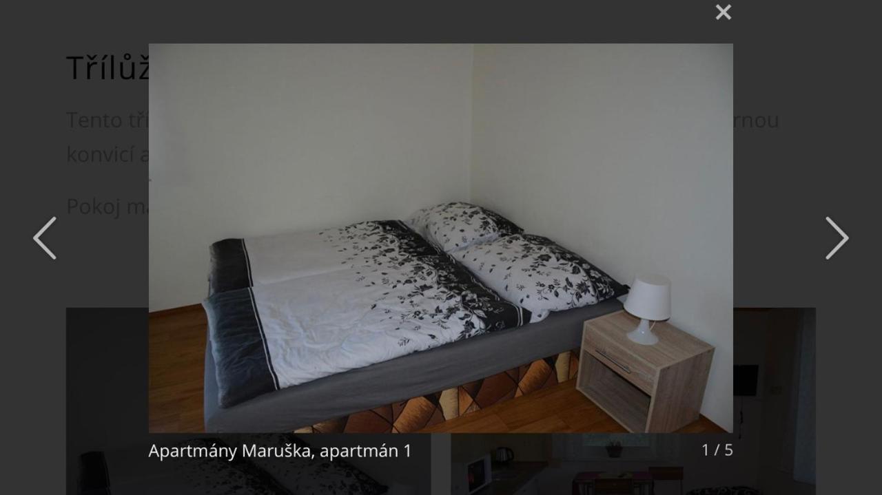 Apartmany Maruska Rokytnice nad Jizerou Zewnętrze zdjęcie